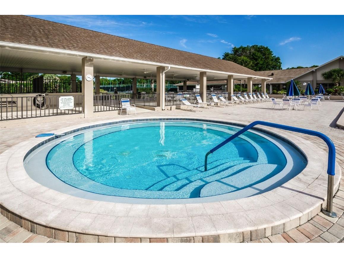 2836 Highlands Boulevard #A Palm Harbor FL 34684 - LAKE TARPON TB8423286 image53