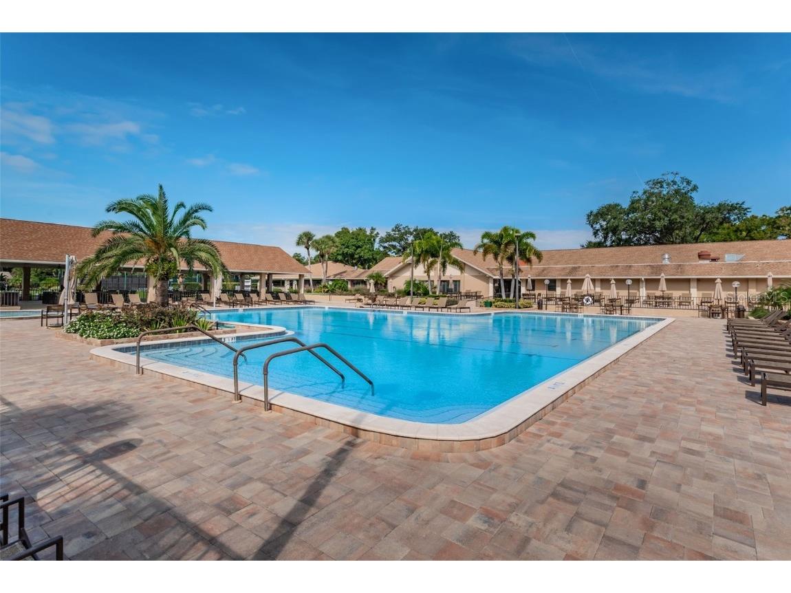 2836 Highlands Boulevard #A Palm Harbor FL 34684 - LAKE TARPON TB8423286 image54