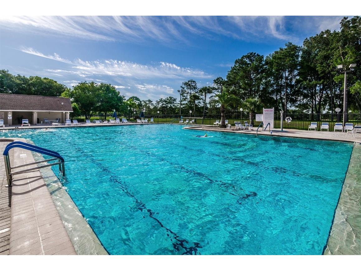 2836 Highlands Boulevard #A Palm Harbor FL 34684 - LAKE TARPON TB8423286 image55