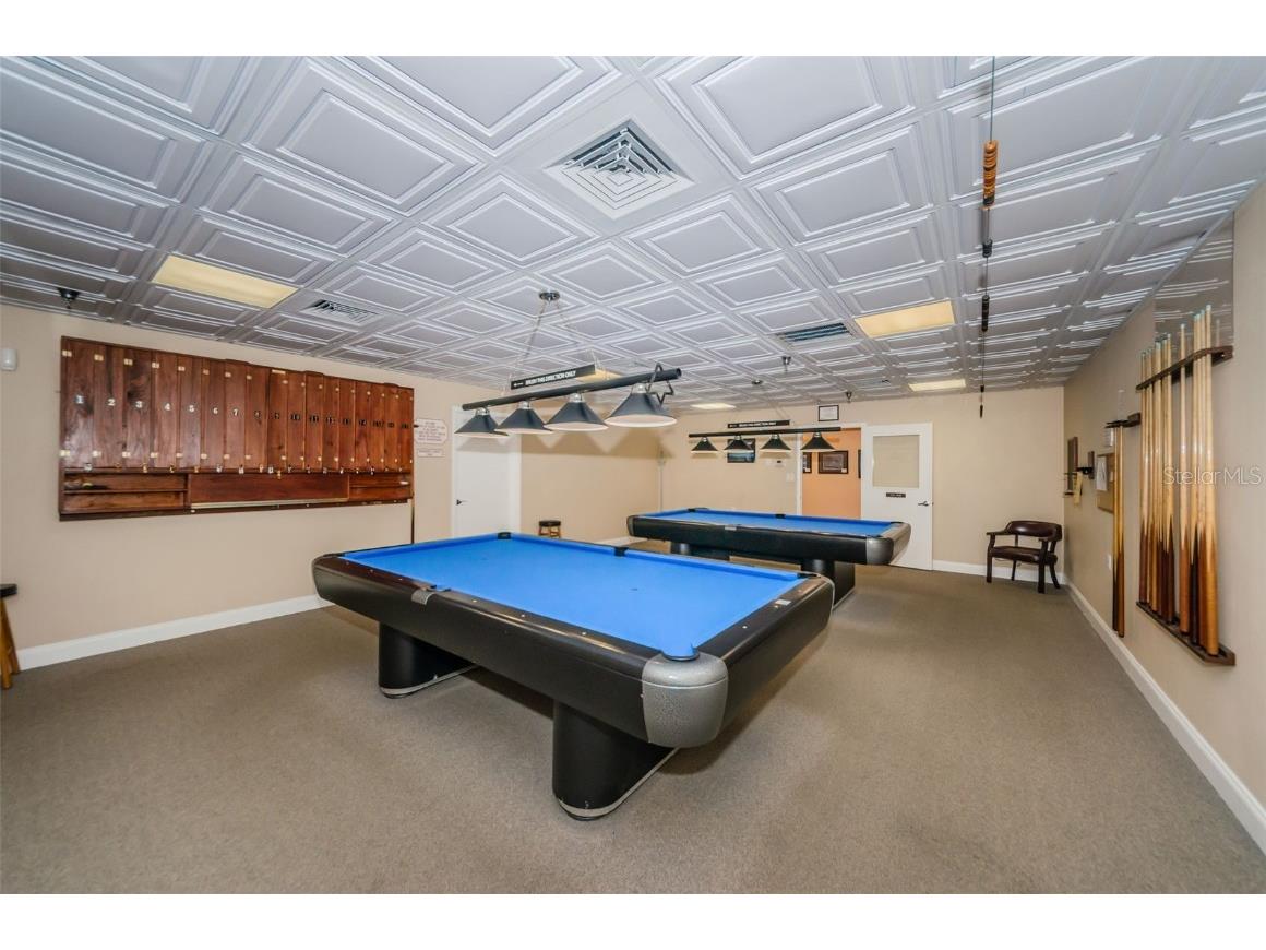 2836 Highlands Boulevard #A Palm Harbor FL 34684 - LAKE TARPON TB8423286 image60