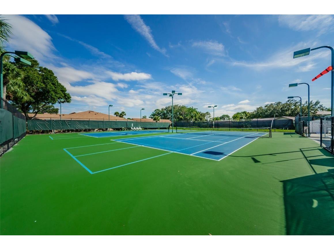 2836 Highlands Boulevard #A Palm Harbor FL 34684 - LAKE TARPON TB8423286 image68