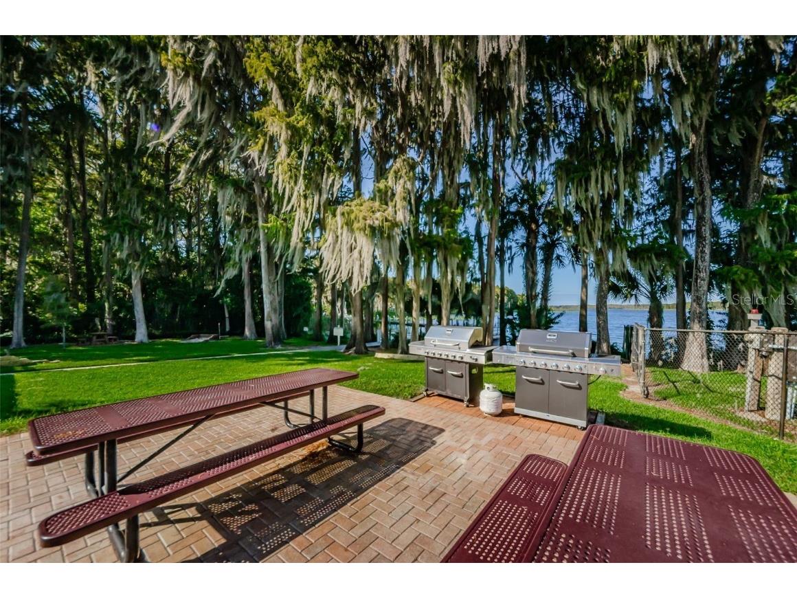 2836 Highlands Boulevard #A Palm Harbor FL 34684 - LAKE TARPON TB8423286 image80