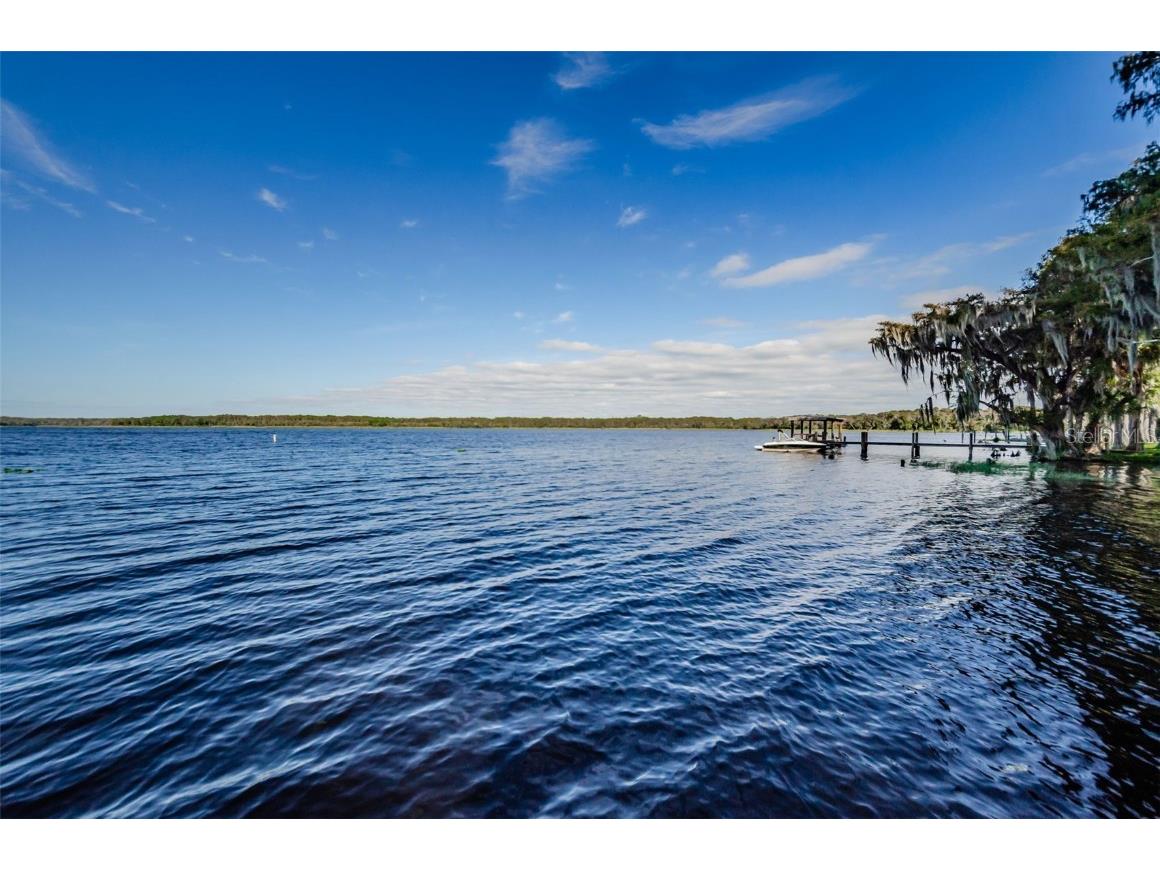 2836 Highlands Boulevard #A Palm Harbor FL 34684 - LAKE TARPON TB8423286 image84