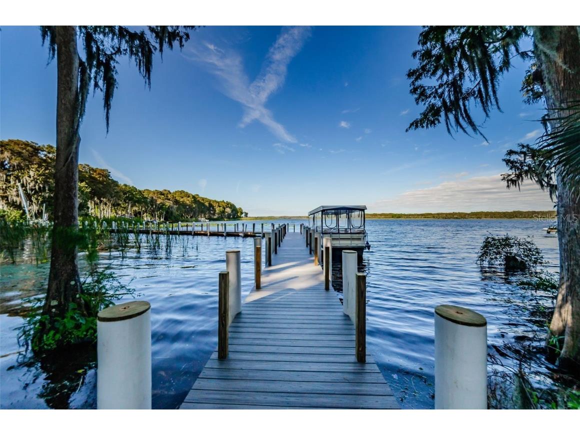2836 Highlands Boulevard #A Palm Harbor FL 34684 - LAKE TARPON TB8423286 image85