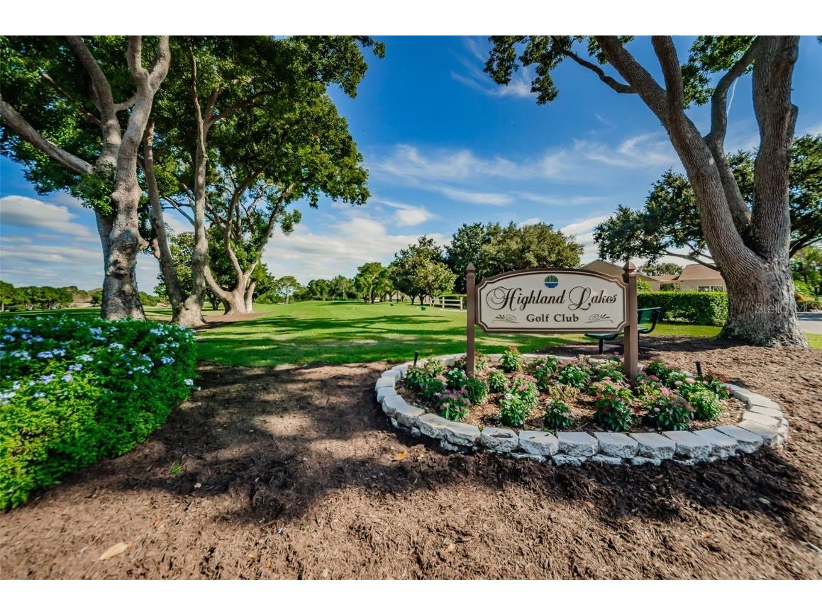 2836 Highlands Boulevard #A Palm Harbor FL 34684 - LAKE TARPON TB8423286 image90