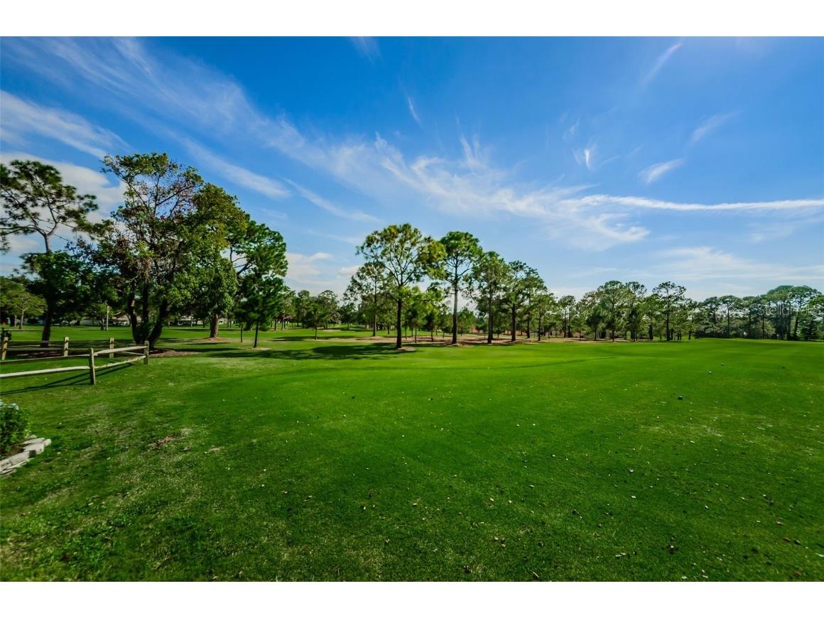 2836 Highlands Boulevard #A Palm Harbor FL 34684 - LAKE TARPON TB8423286 image92