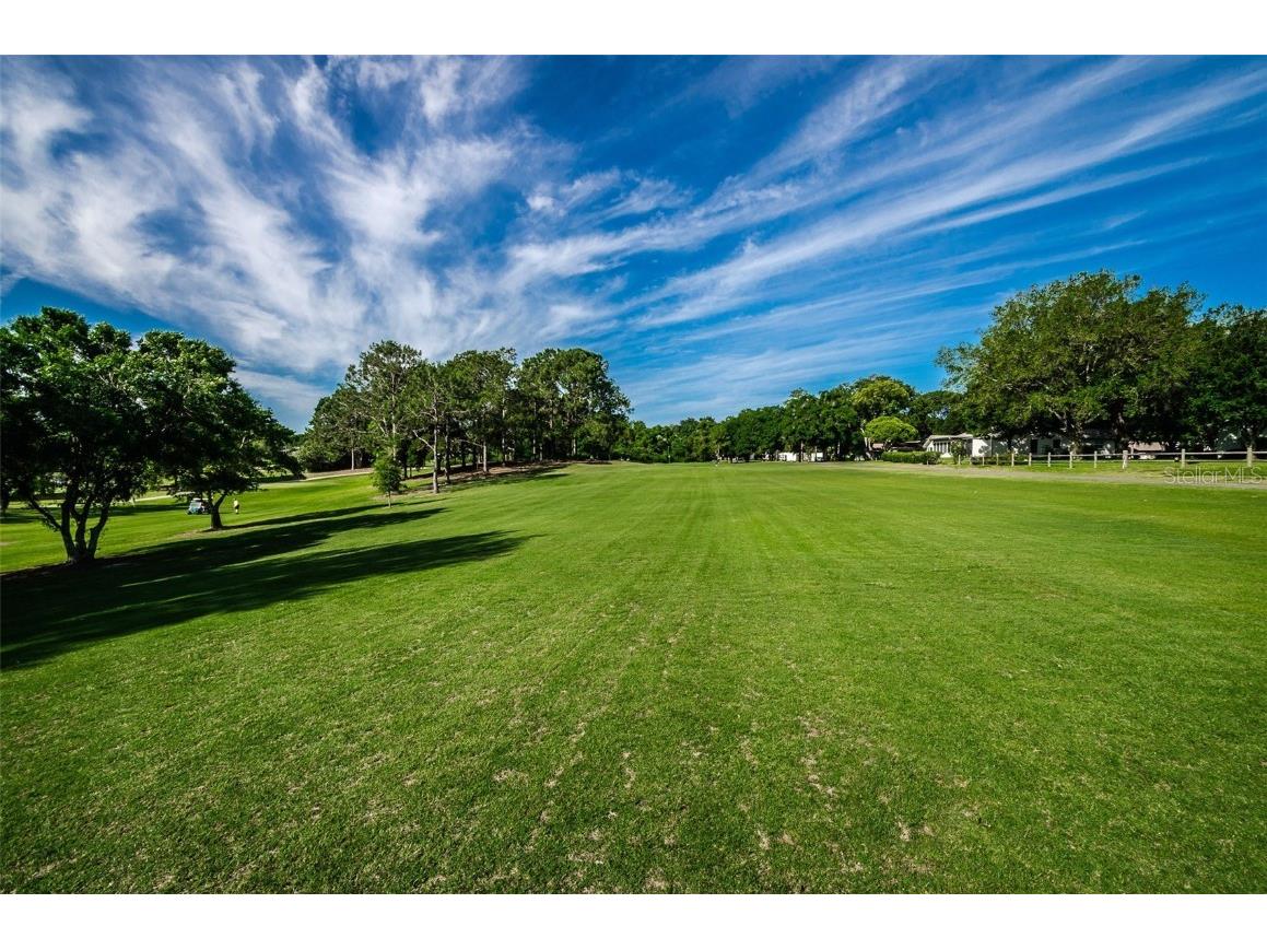 2836 Highlands Boulevard #A Palm Harbor FL 34684 - LAKE TARPON TB8423286 image94