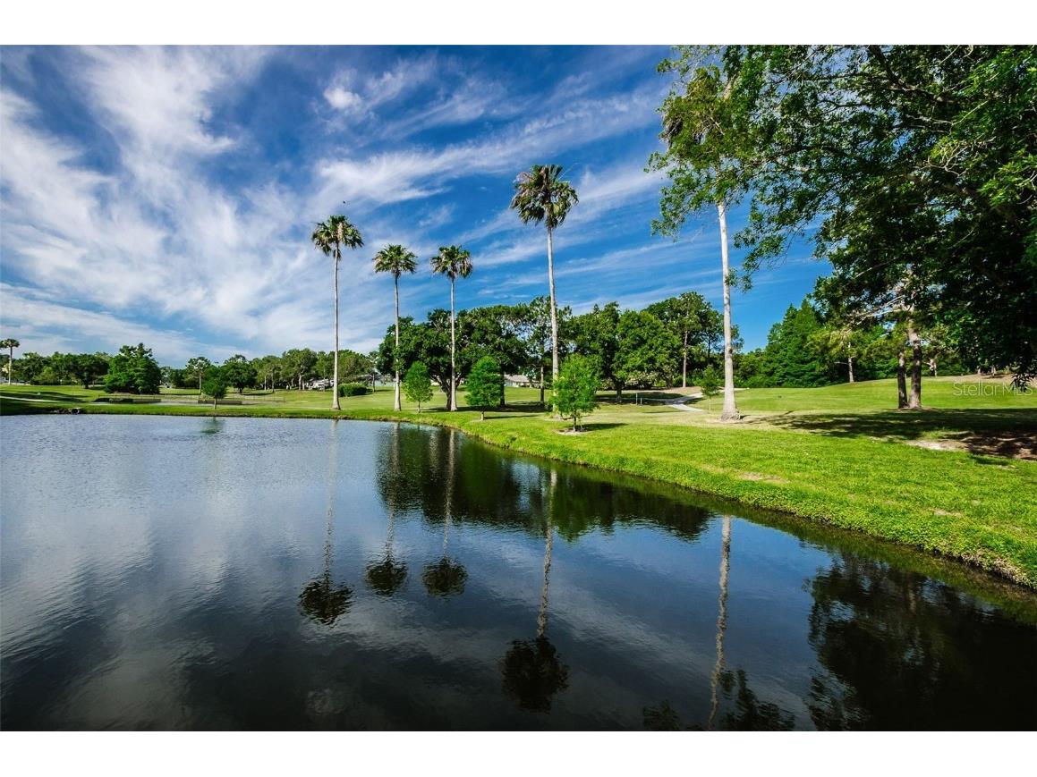 2836 Highlands Boulevard #A Palm Harbor FL 34684 - LAKE TARPON TB8423286 image95