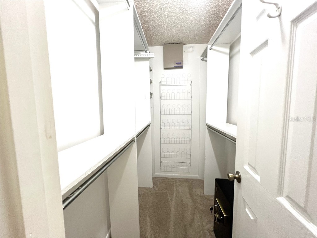 2836 Magnolia Avenue Lakeland FL 33812 L4957577 image35