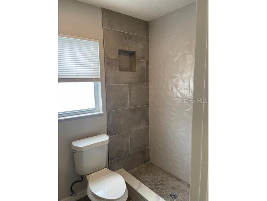 2836 Paddock Drive Palm Harbor FL 34684 TB8485064 image13