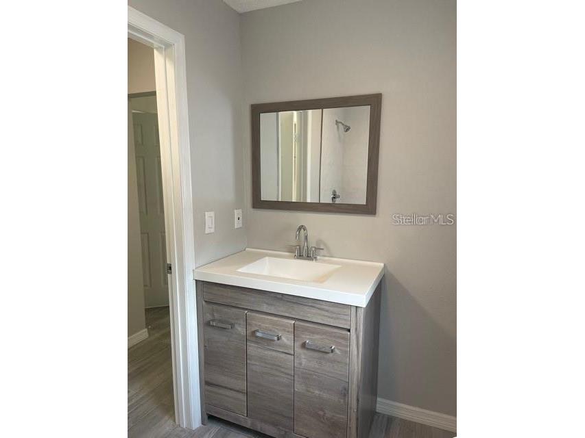 2836 Paddock Drive Palm Harbor FL 34684 TB8485064 image14