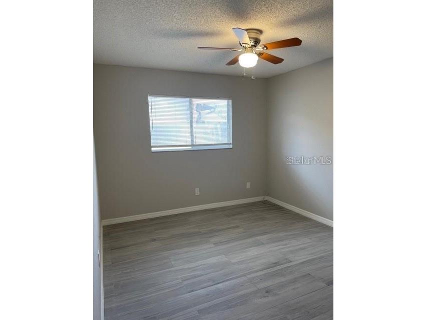 2836 Paddock Drive Palm Harbor FL 34684 TB8485064 image7