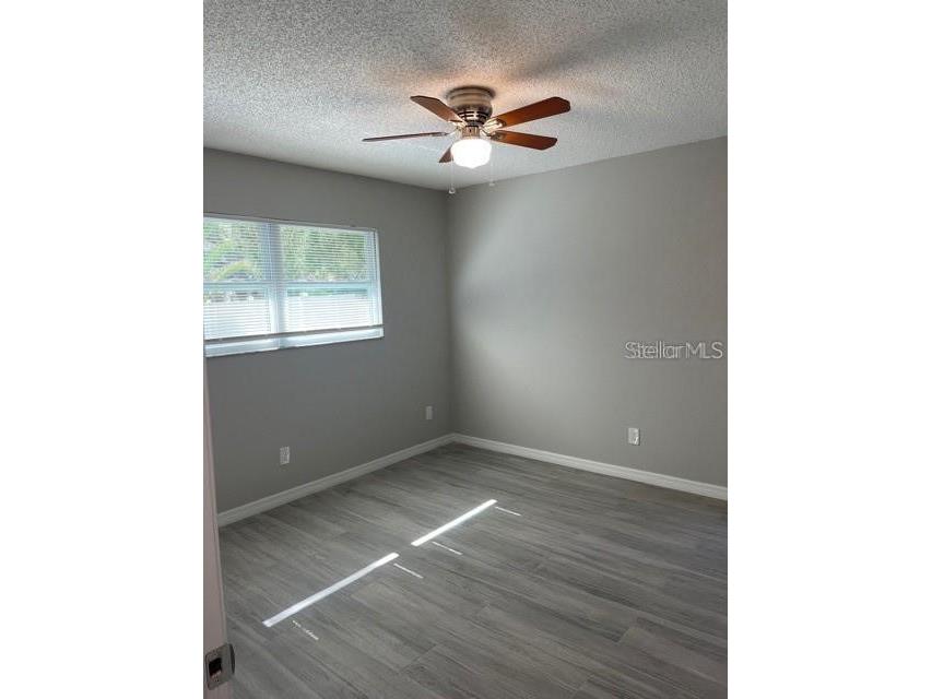 2836 Paddock Drive Palm Harbor FL 34684 TB8485064 image8
