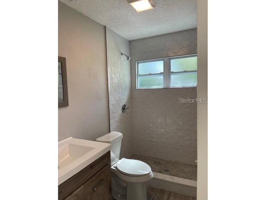 2836 Paddock Drive Palm Harbor FL 34684 TB8485064 image9