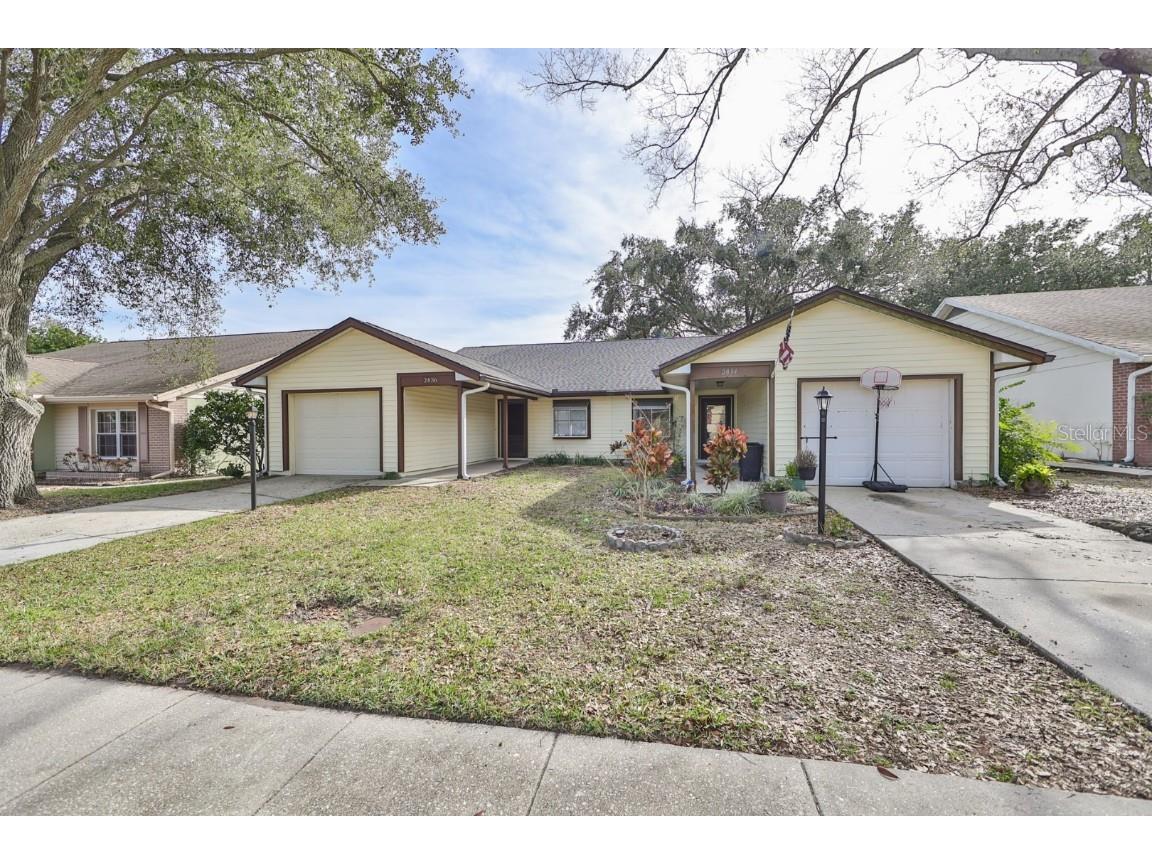 2836 Whitehall Drive Palm Harbor FL 34684 T3424918 image1