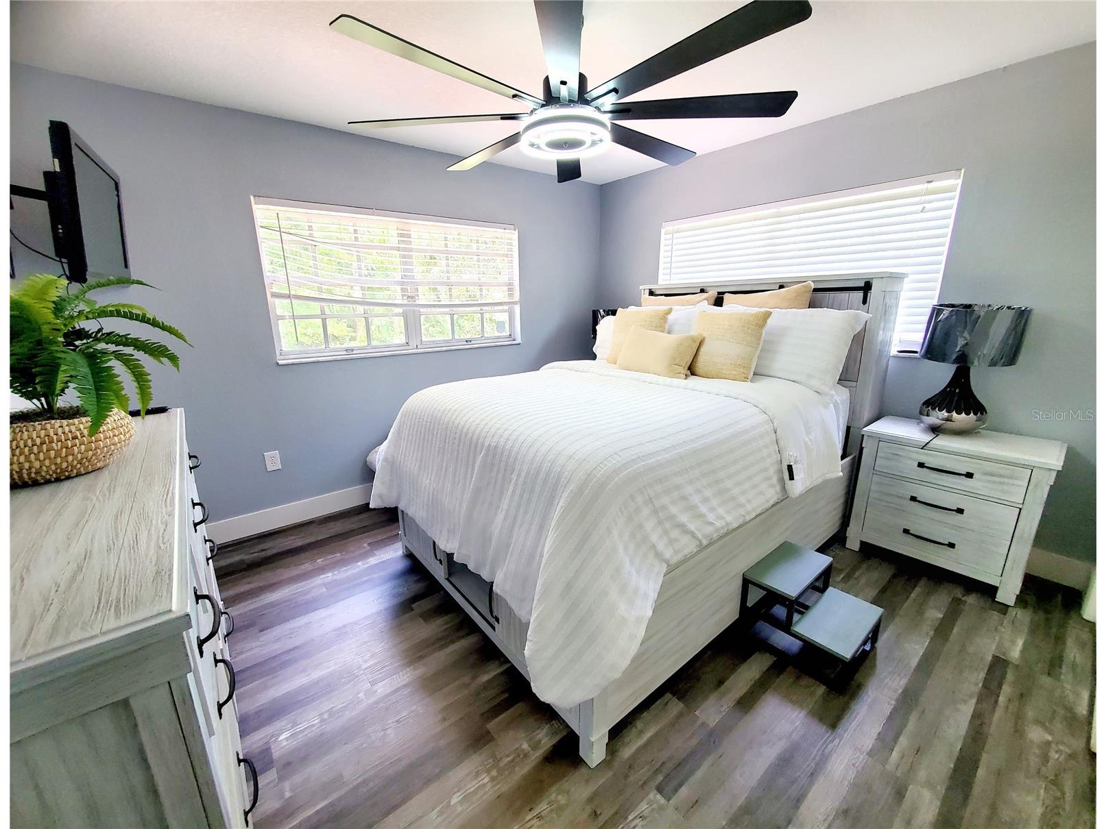 2837 Longleaf Lane Palm Harbor FL 34684 TB8503631 image20