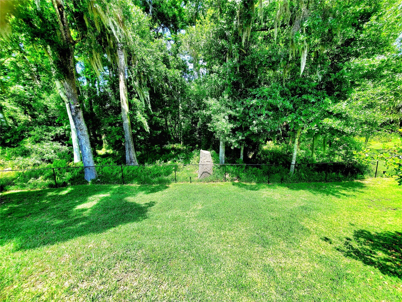 2837 Longleaf Lane Palm Harbor FL 34684 TB8503631 image33