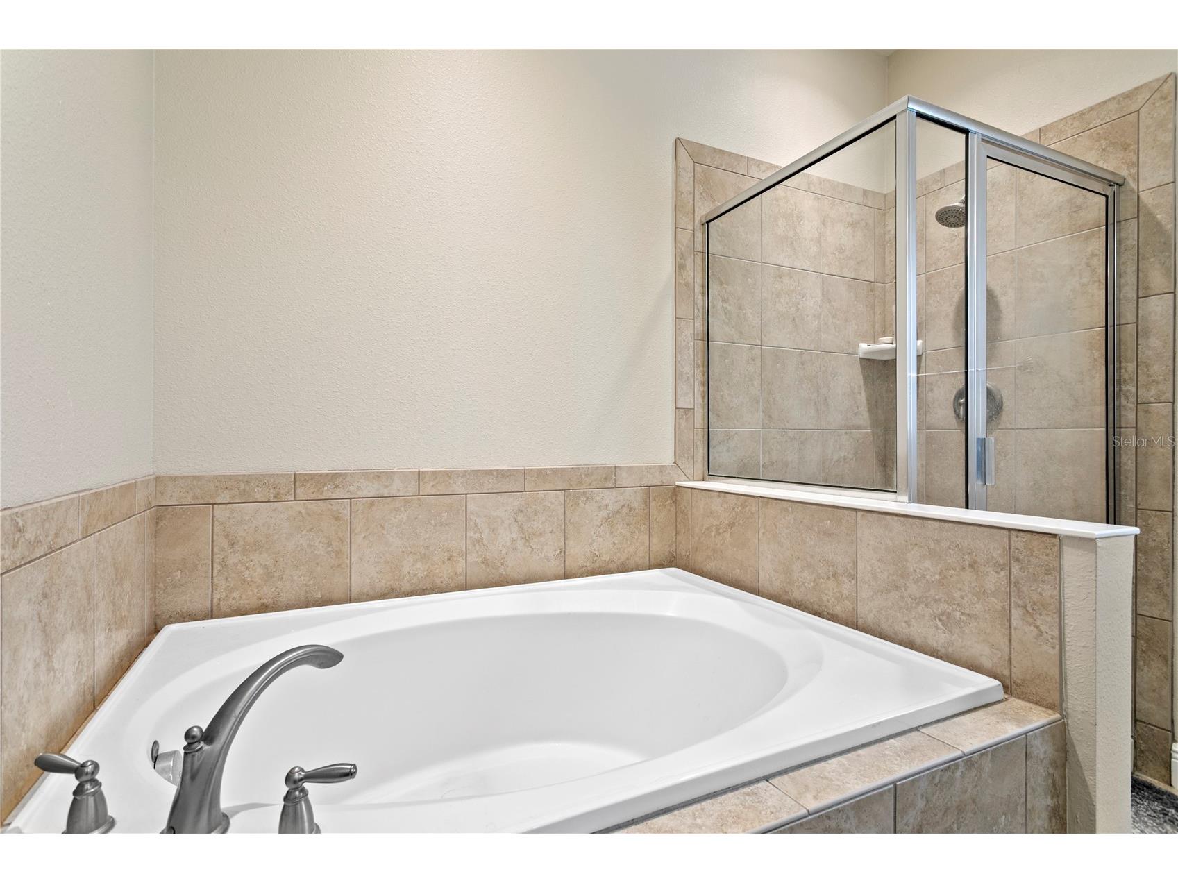 2837 Maple Brook Loop Lutz FL 33558 - COMMUNITY POND TB8500612 image30