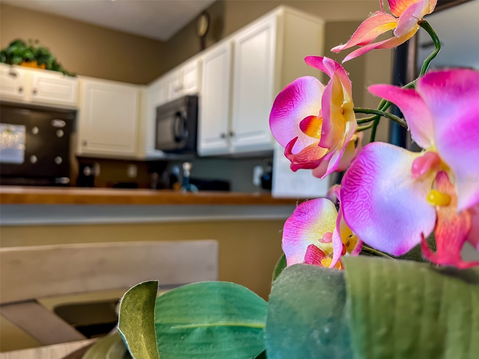 2837 Oakwater Drive #2837 Kissimmee FL 34747 O6422894 image27