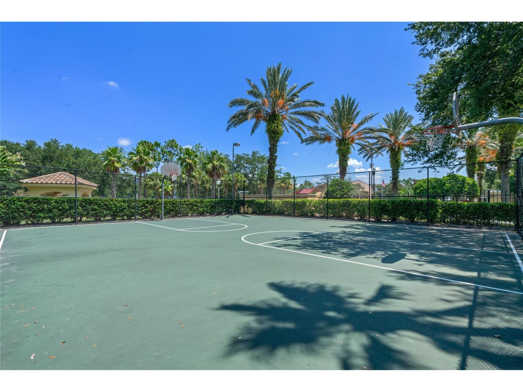 2837 Shadow View Circle #2837 Maitland FL 32751 O6382993 image24