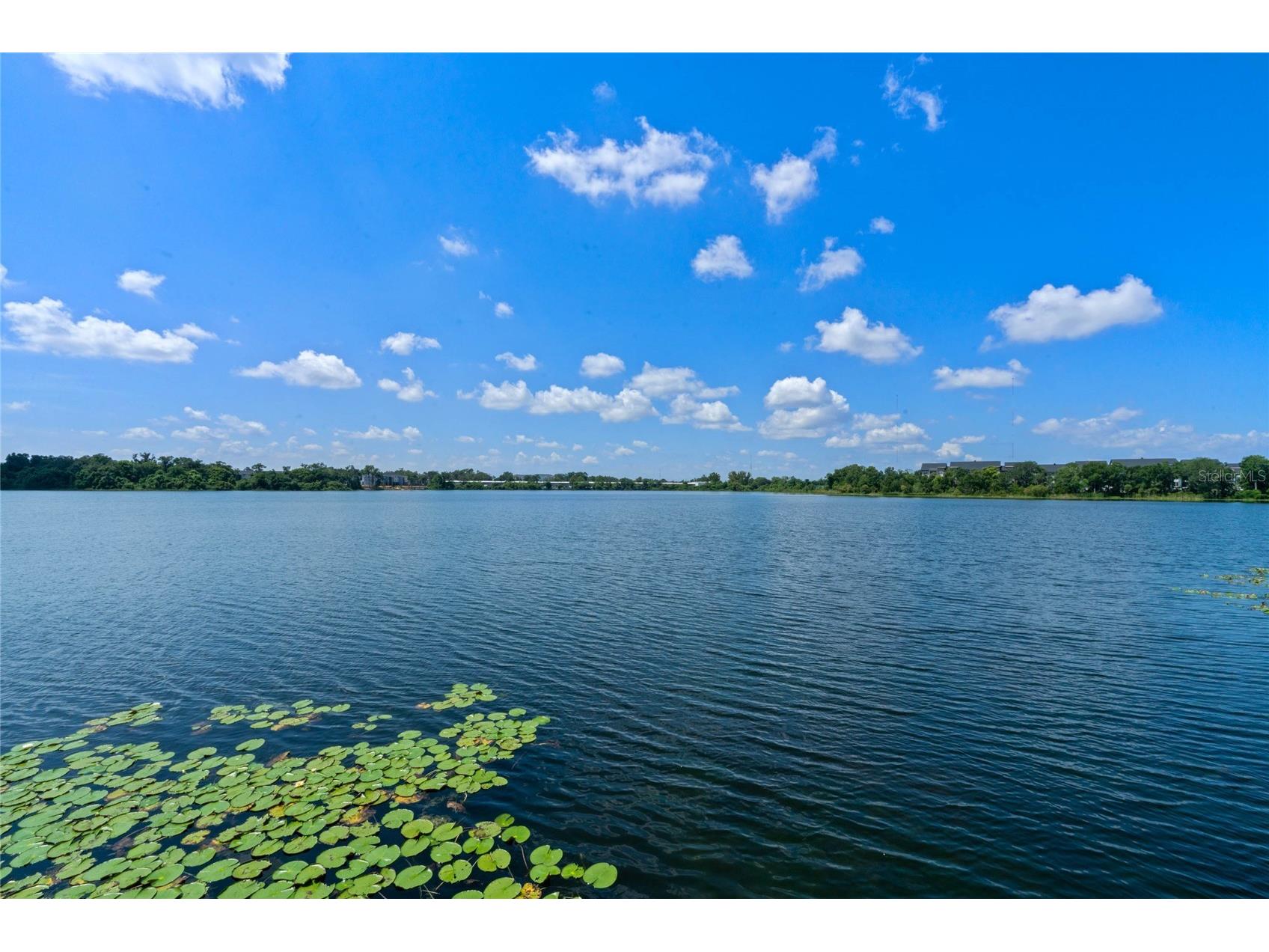 2837 Shadow View Circle #2837 Maitland FL 32751 O6382993 image29