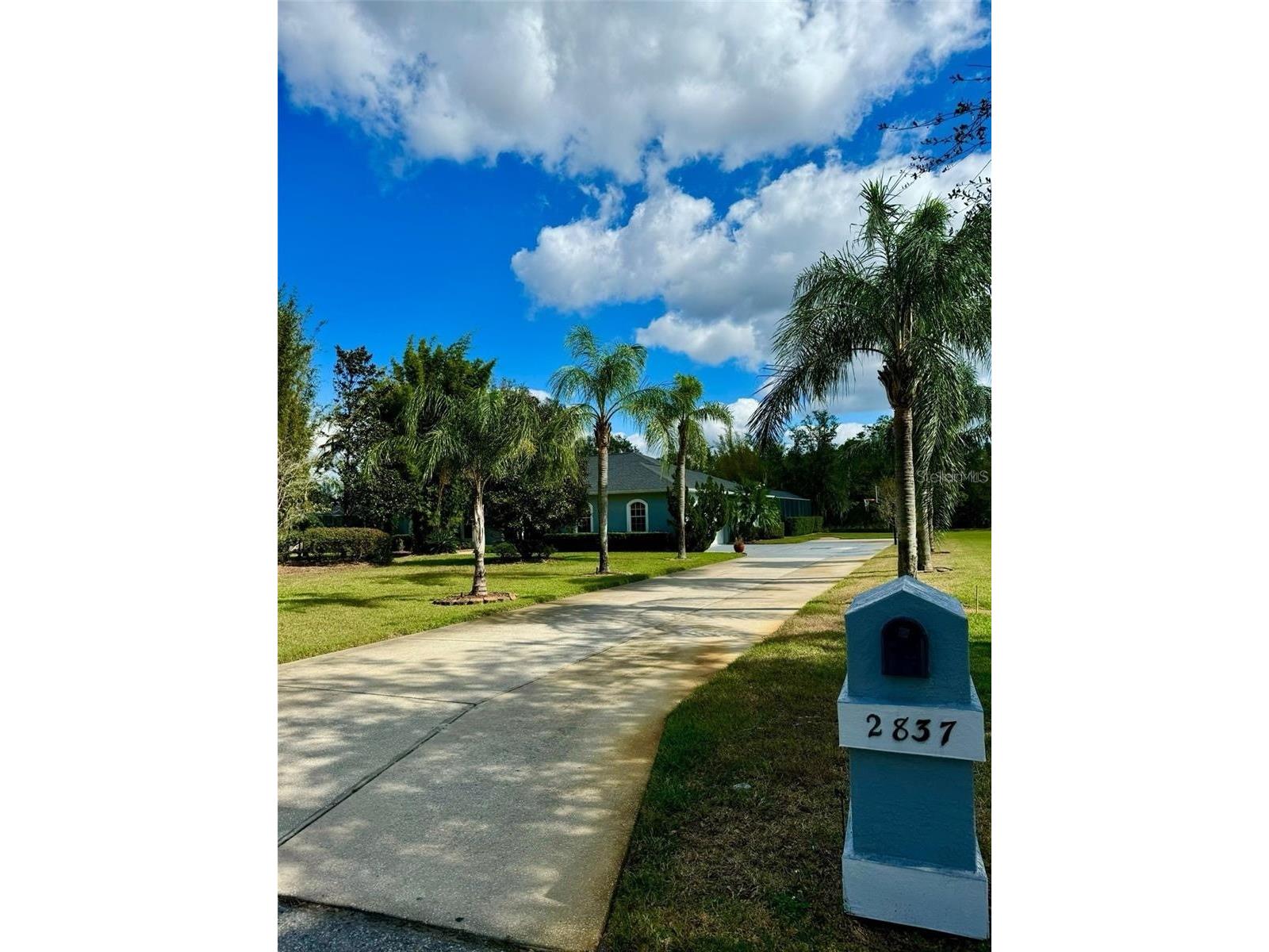 2837 Sherry Brook Lane Lutz FL 33559 TB8516322 image4