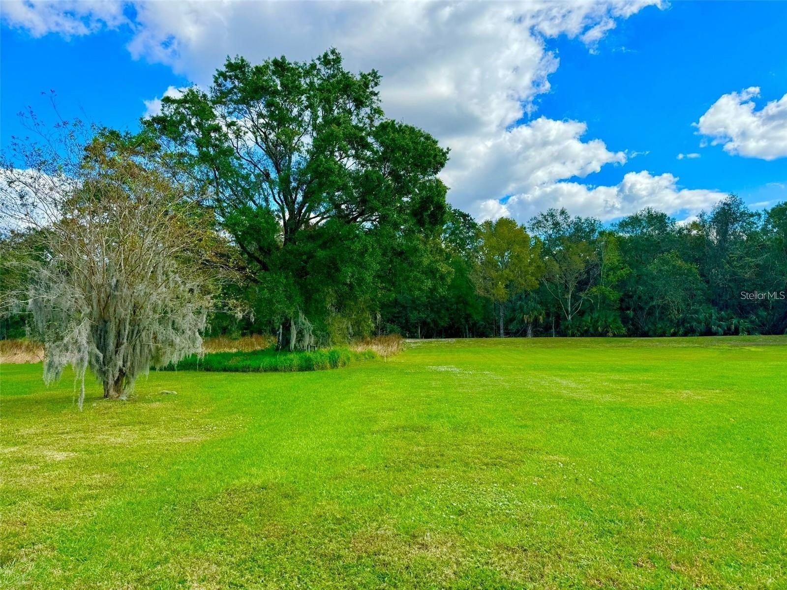 2837 Sherry Brook Lane Lutz FL 33559 TB8516322 image46