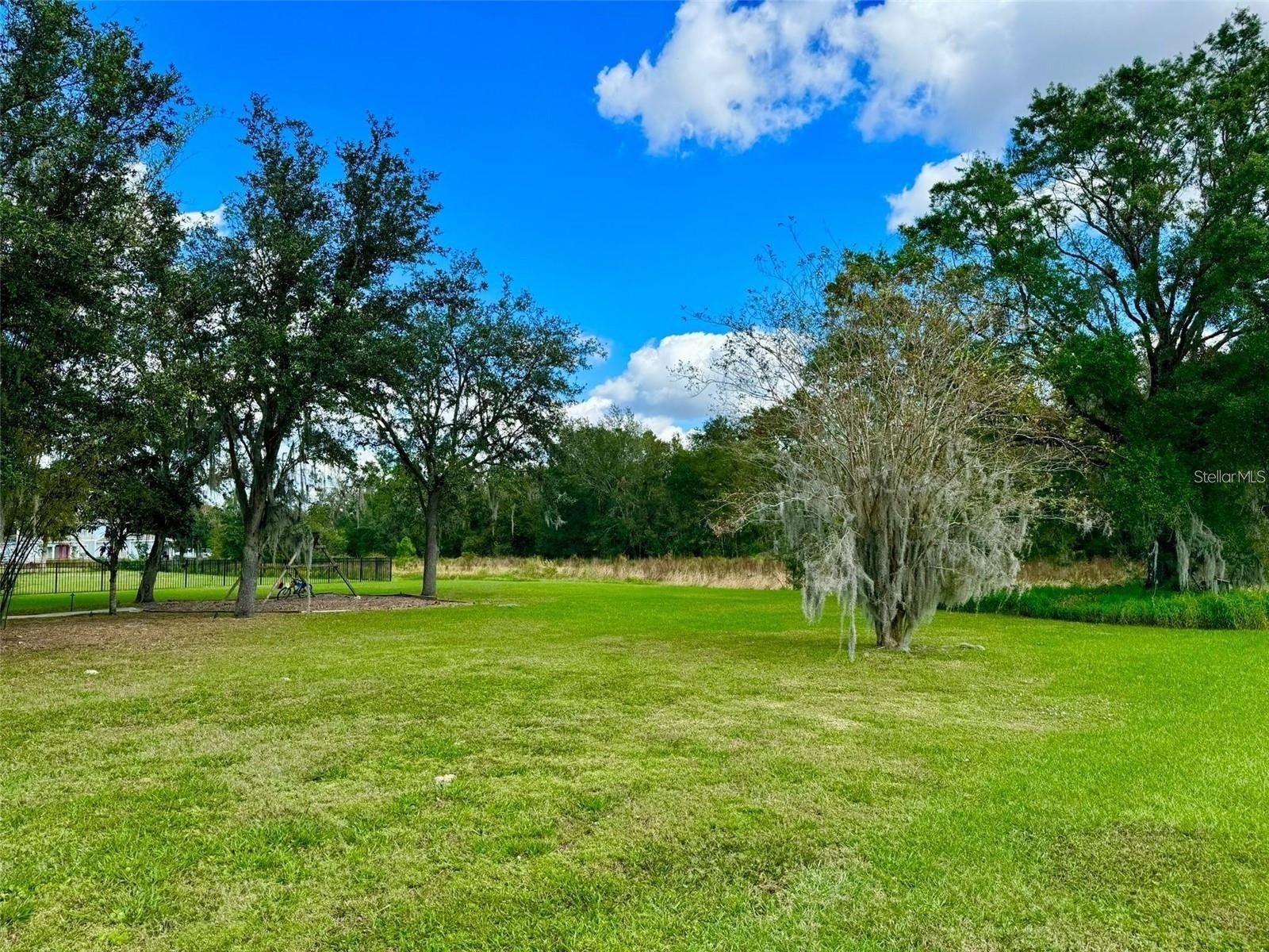 2837 Sherry Brook Lane Lutz FL 33559 TB8516322 image47