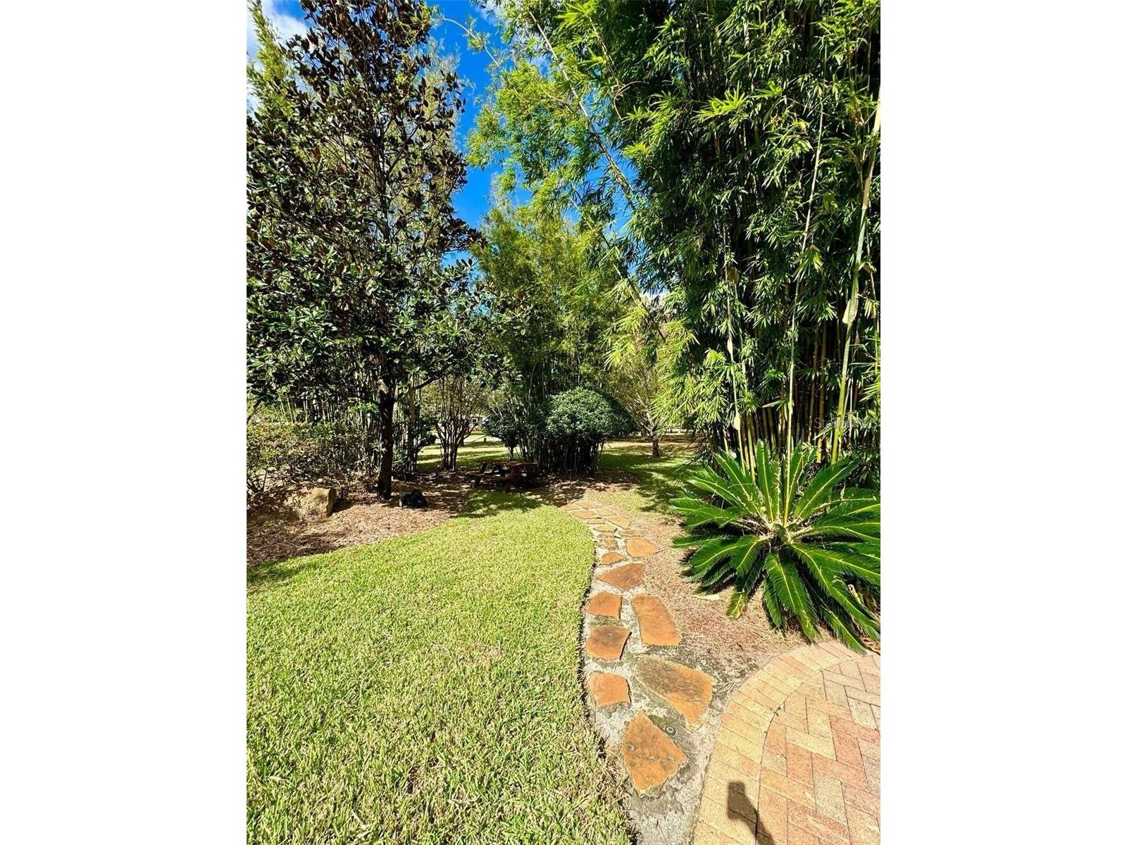 2837 Sherry Brook Lane Lutz FL 33559 TB8516322 image50