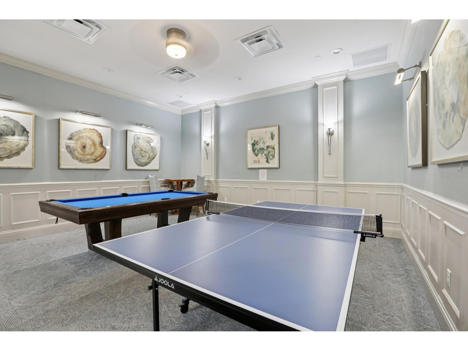 2837 Tarragona Way Wesley Chapel FL 33543 TB8475034 image28