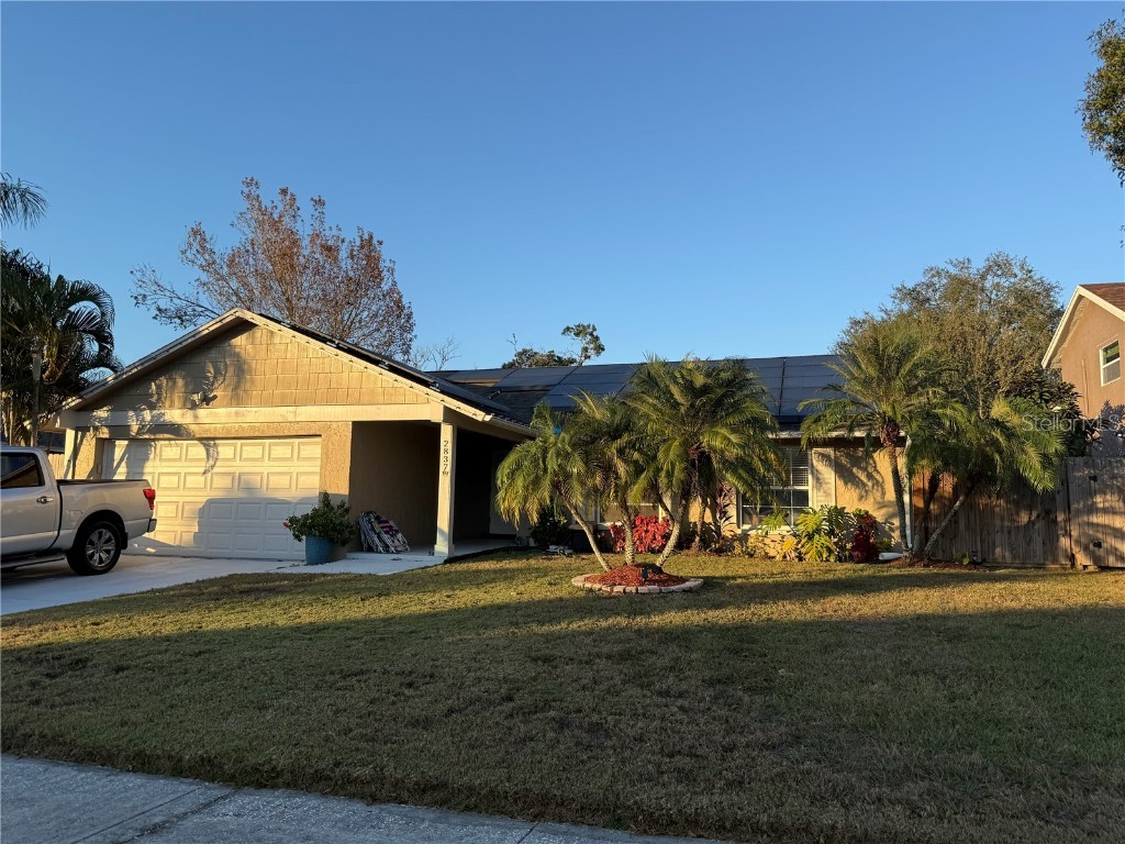 2837 Weston Terrace Palm Harbor FL 34685 V4946175 image1