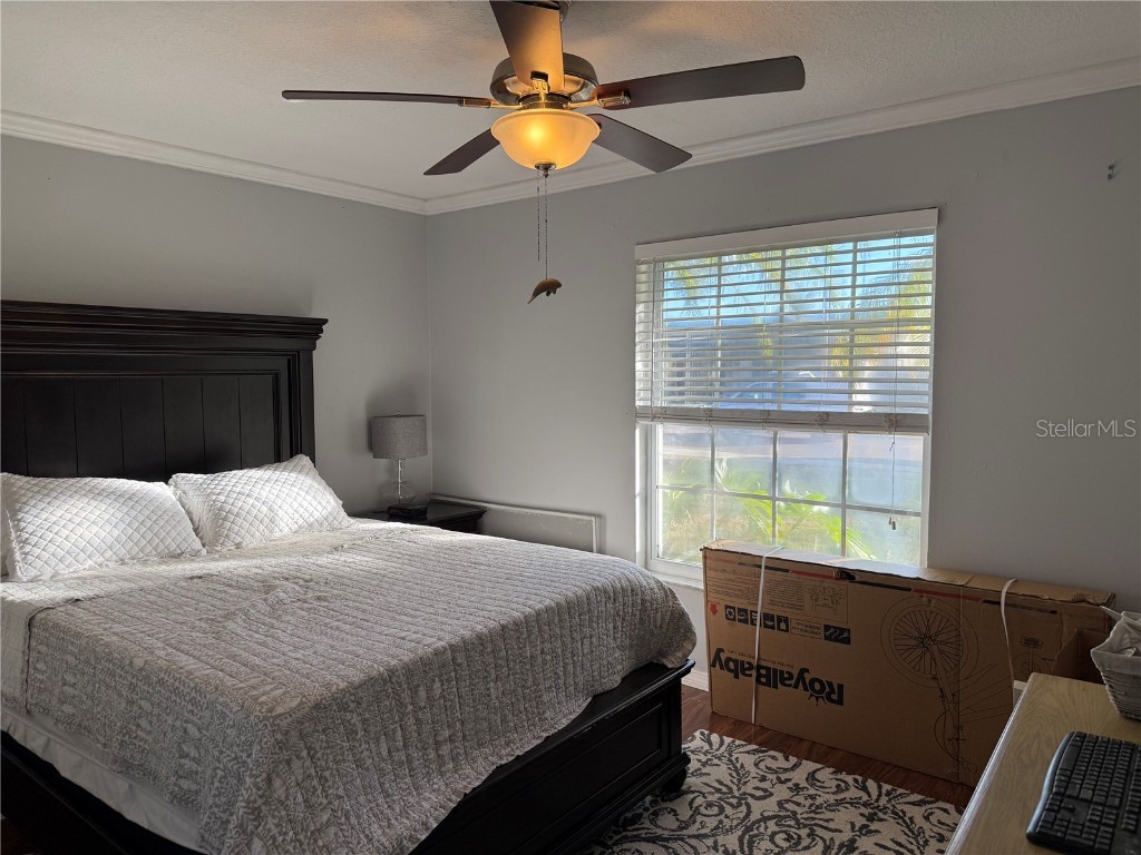 2837 Weston Terrace Palm Harbor FL 34685 V4946175 image21