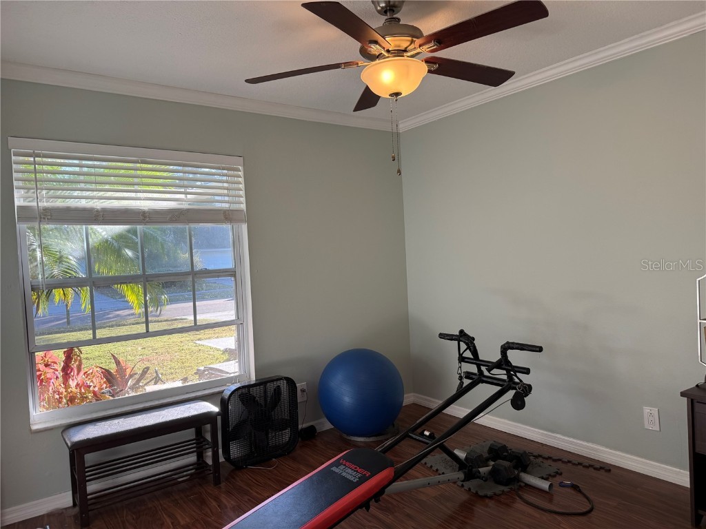 2837 Weston Terrace Palm Harbor FL 34685 V4946175 image22