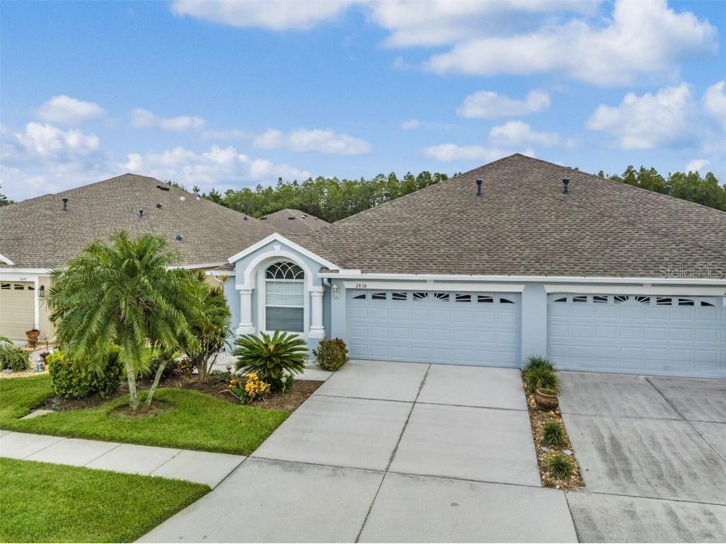 2838 Torrance Drive Land O Lakes FL 34638 T3468622 image1