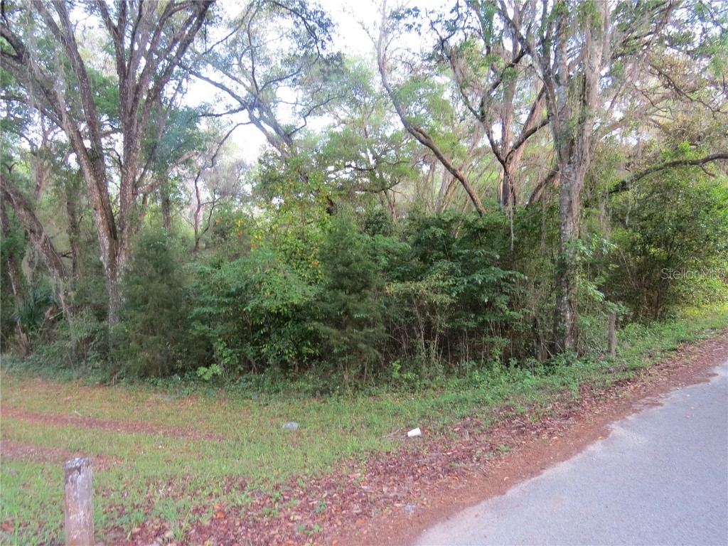 28380 Forbes Street Nobleton FL 34661 TB8366446 image16