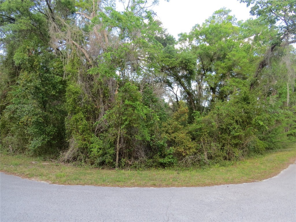 28380 Forbes Street Nobleton FL 34661 TB8366446 image18