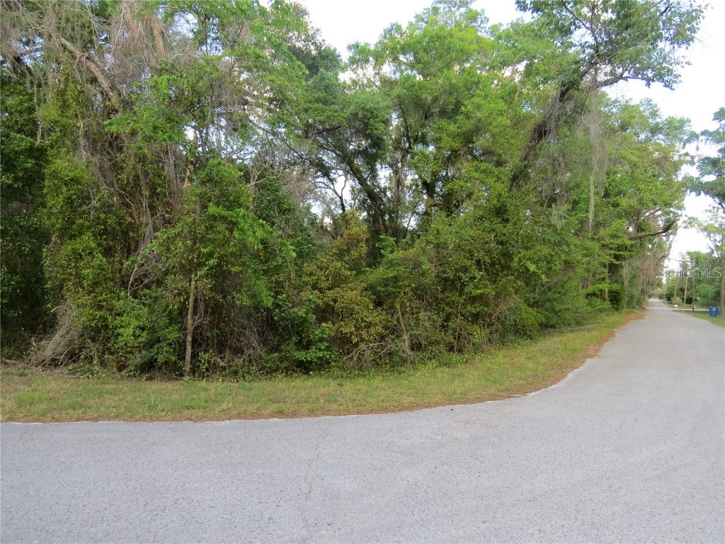 28380 Forbes Street Nobleton FL 34661 TB8366446 image19