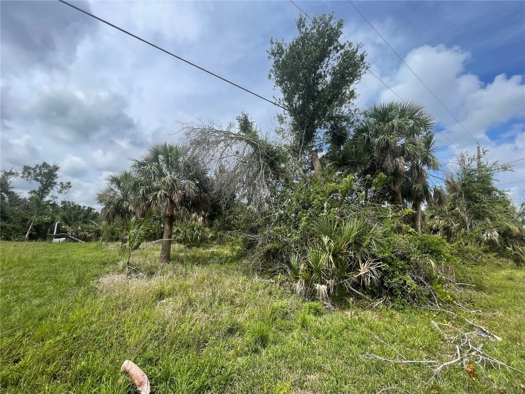 28387 Royal Palm Drive Punta Gorda FL 33982 C7476944 image1