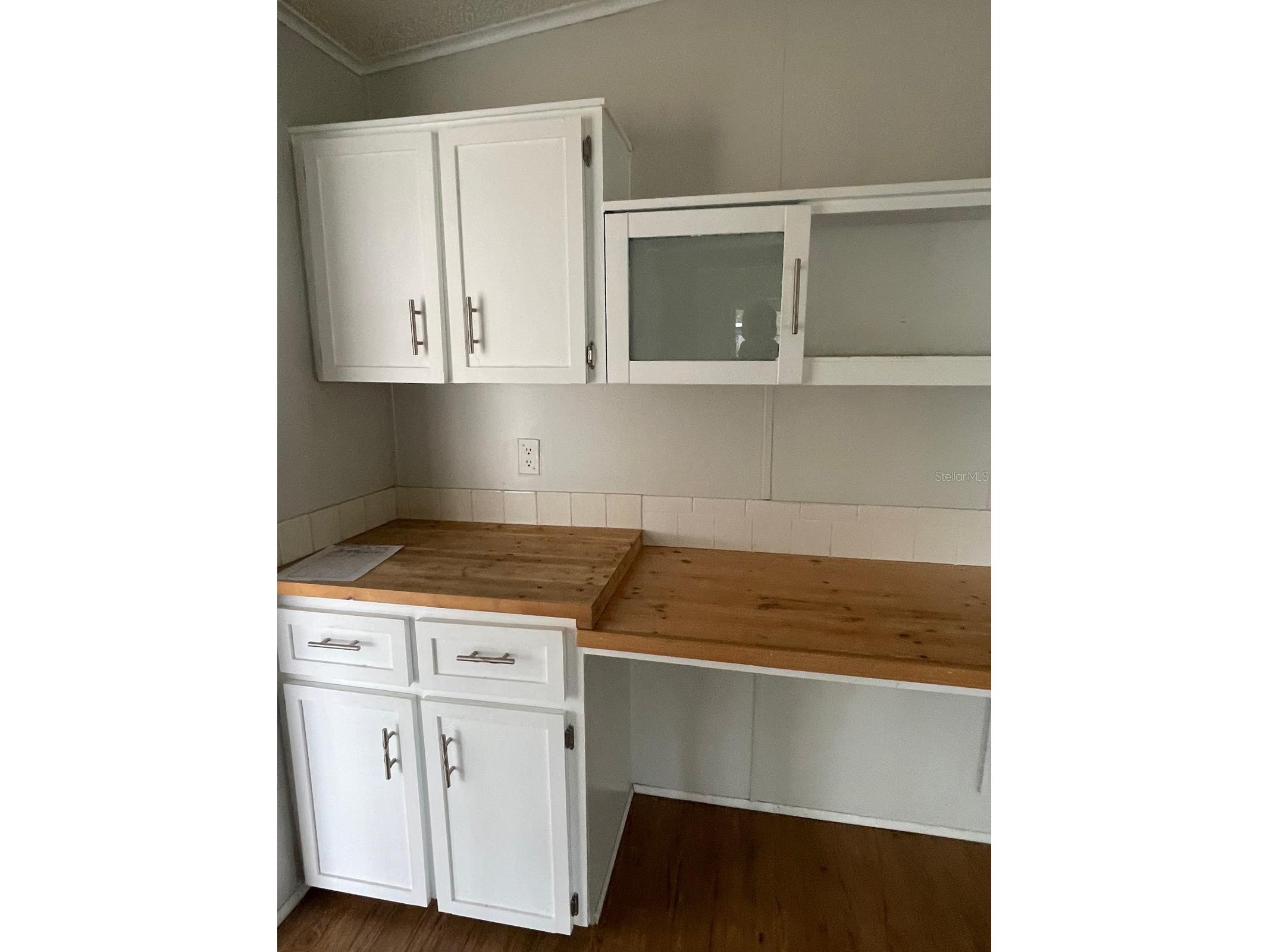 2839 Manatee Rd Tavares FL 32778 S5144788 image5