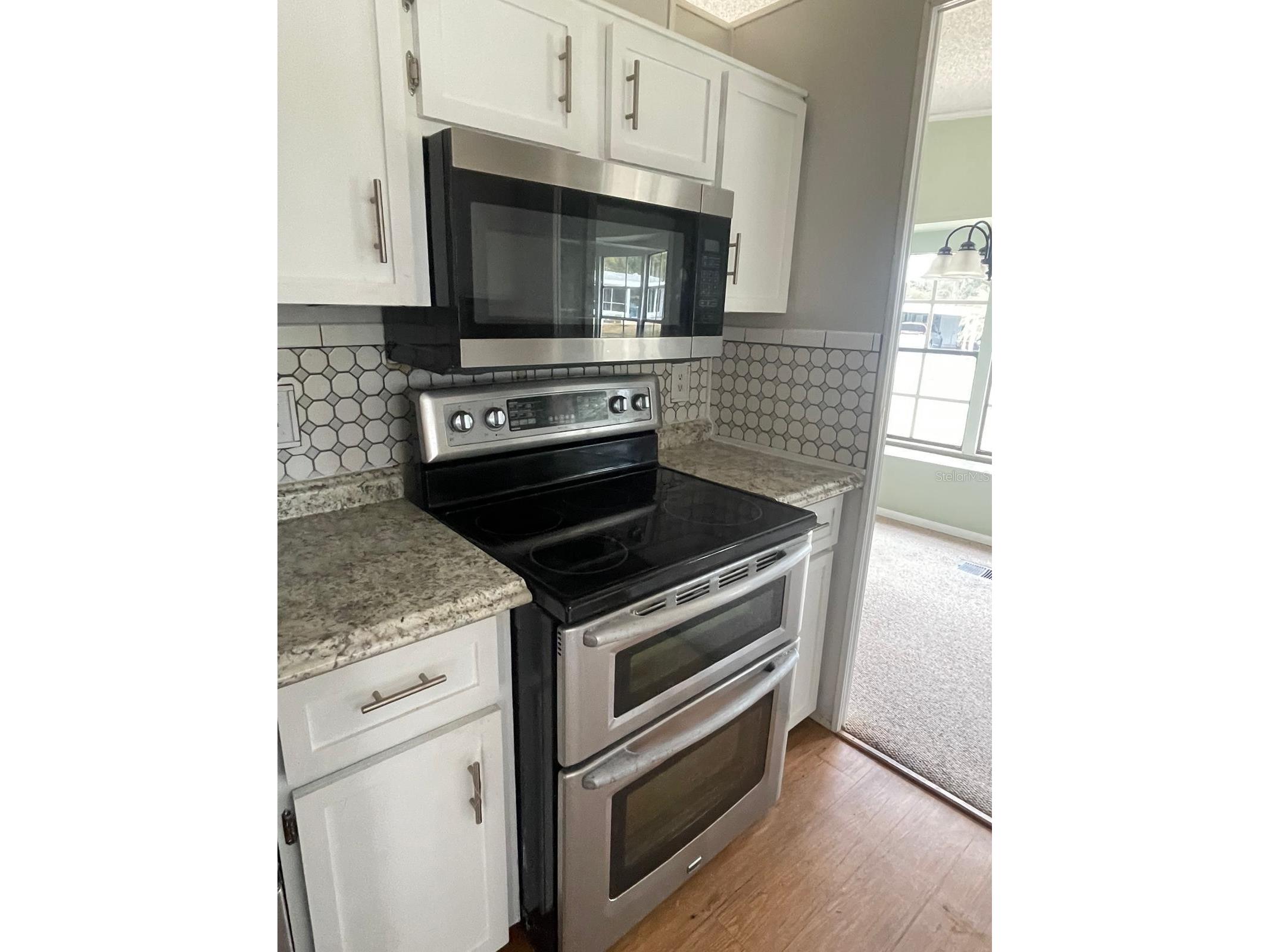 2839 Manatee Rd Tavares FL 32778 S5144788 image6