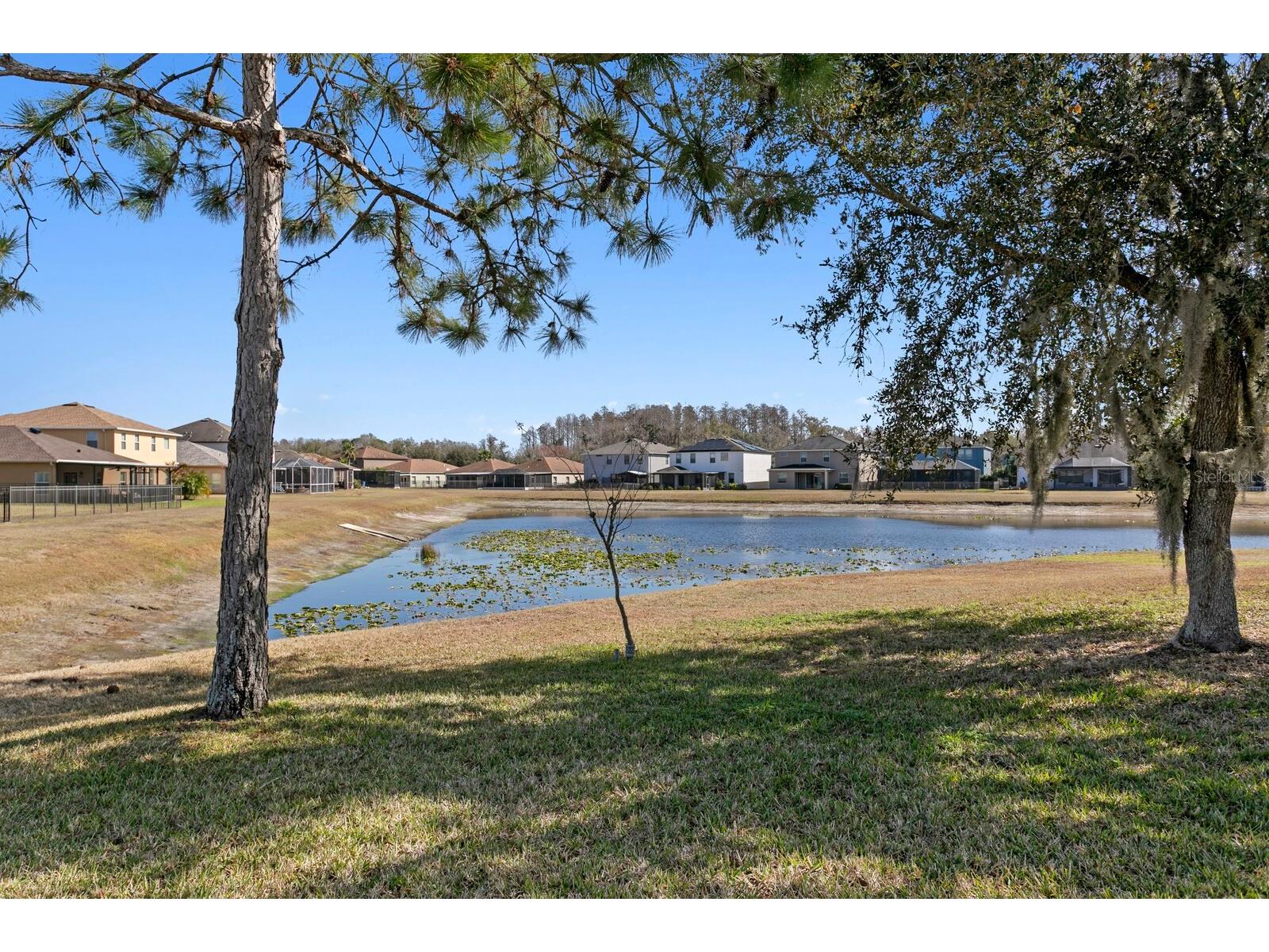 2839 Maple Brook Loop Lutz FL 33558 TB8477296 image23