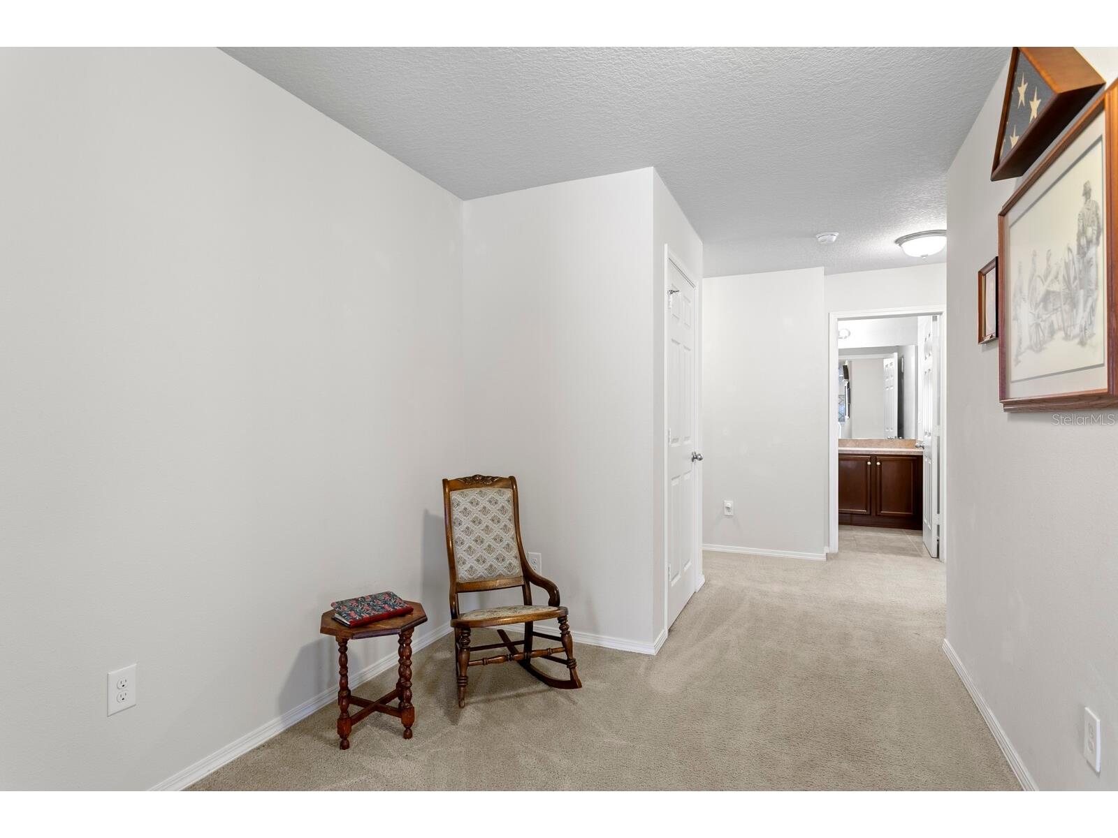 2839 Maple Brook Loop Lutz FL 33558 TB8477296 image32