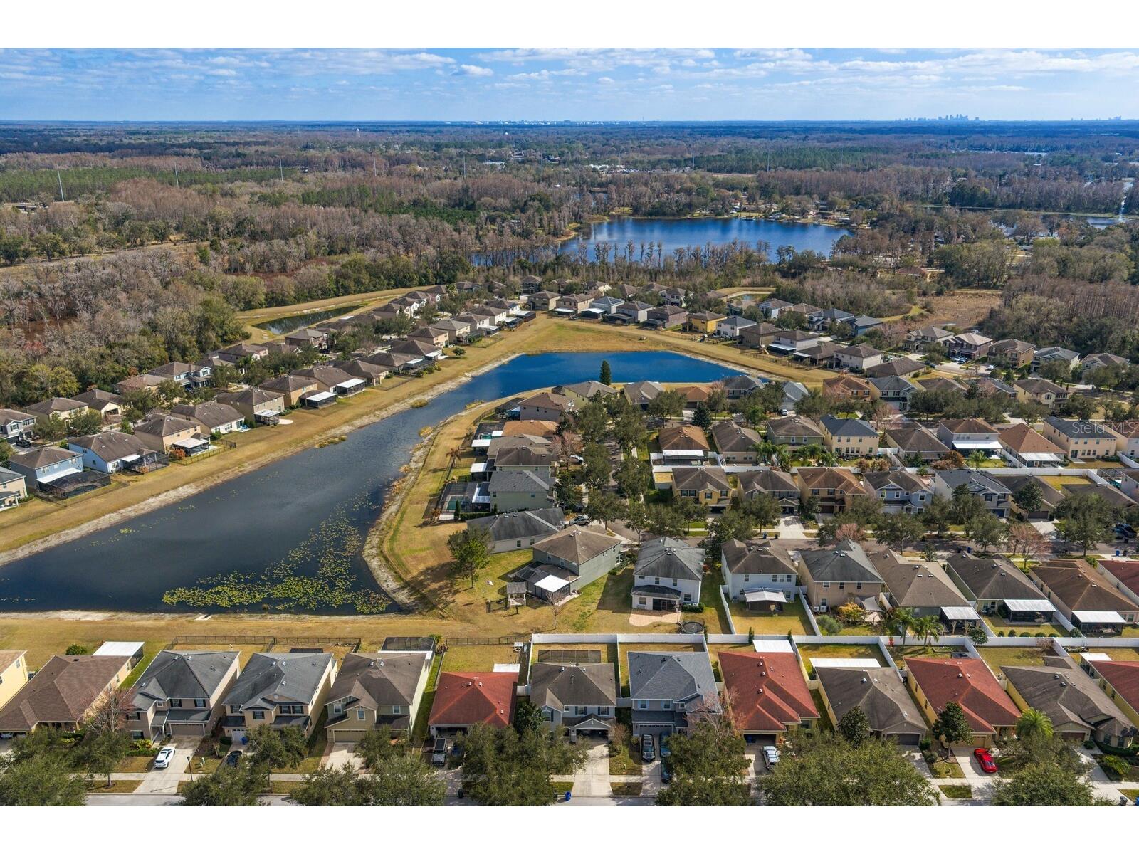 2839 Maple Brook Loop Lutz FL 33558 TB8477296 image42