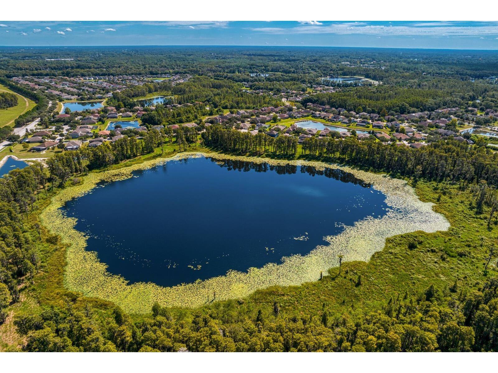 2839 Maple Brook Loop Lutz FL 33558 TB8477296 image60