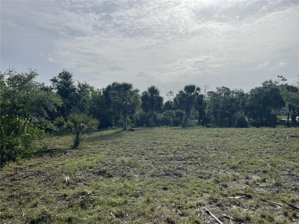 284 Barger Drive Port Charlotte FL 33954 A4646158 image3