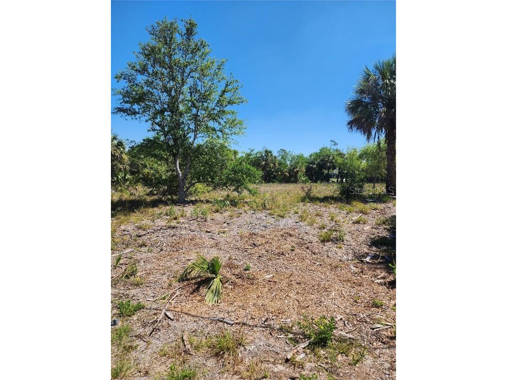 284 Barger Drive Port Charlotte FL 33954 A4646158 image7