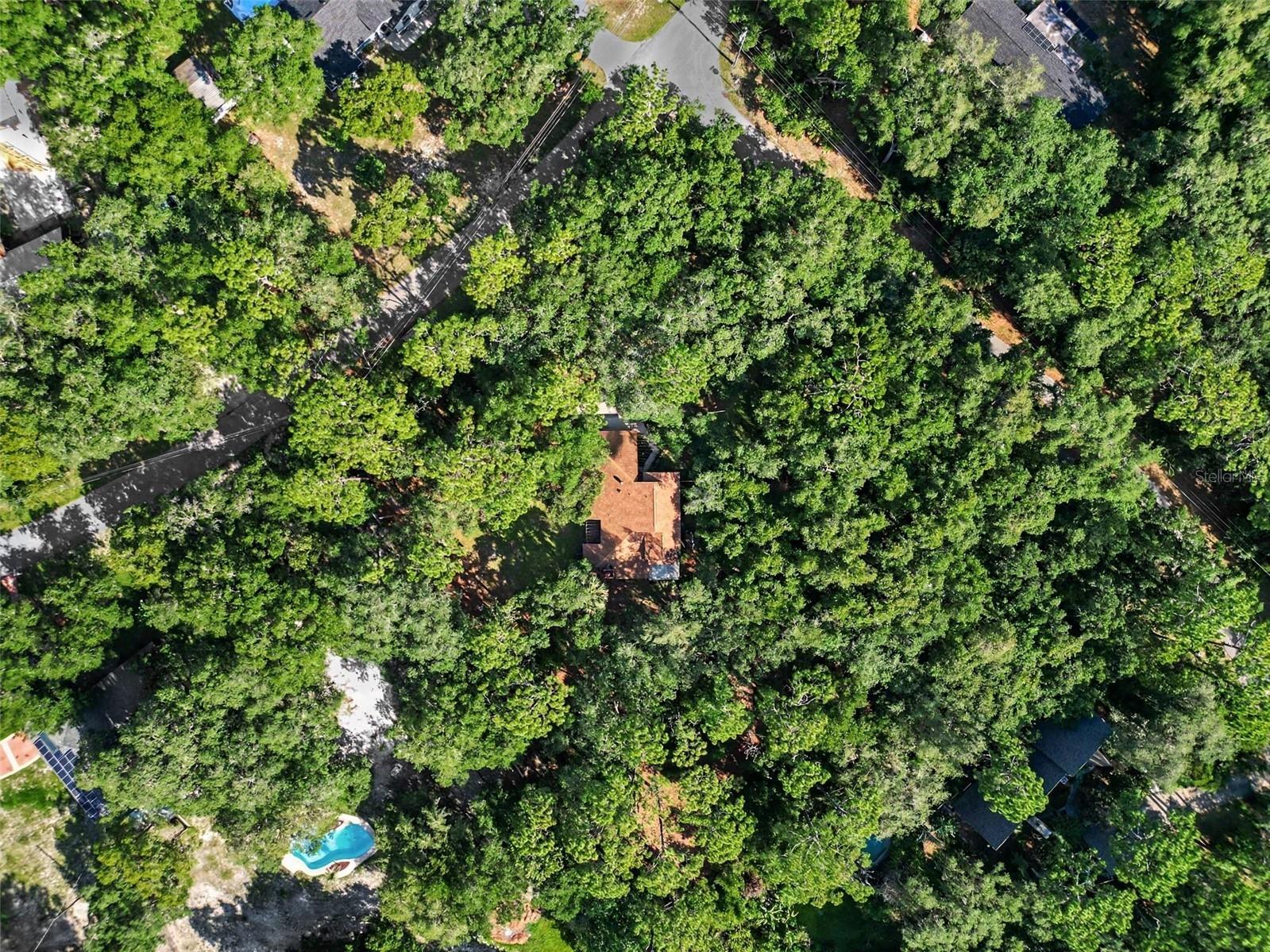 284 Clearview Road Oviedo FL 32766 TB8523631 image30