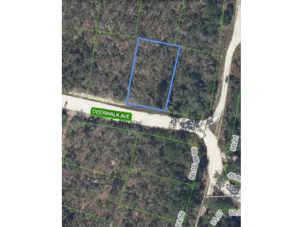 284 Deerwalk Avenue Lake Placid FL 33852 O6207617 image1