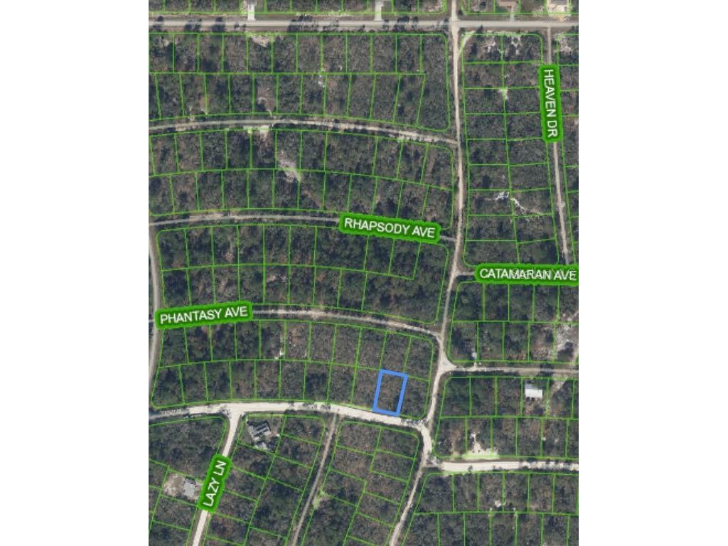 284 Deerwalk Avenue Lake Placid FL 33852 O6207617 image2