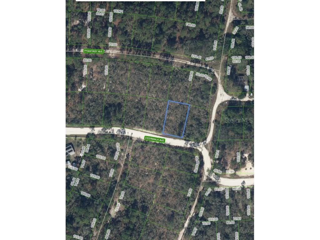 284 Deerwalk Avenue Lake Placid FL 33852 O6207617 image3